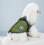 Vêtements pour chien PawAndWalk